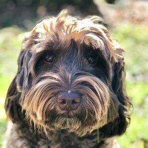 Meet your Posher, Christy